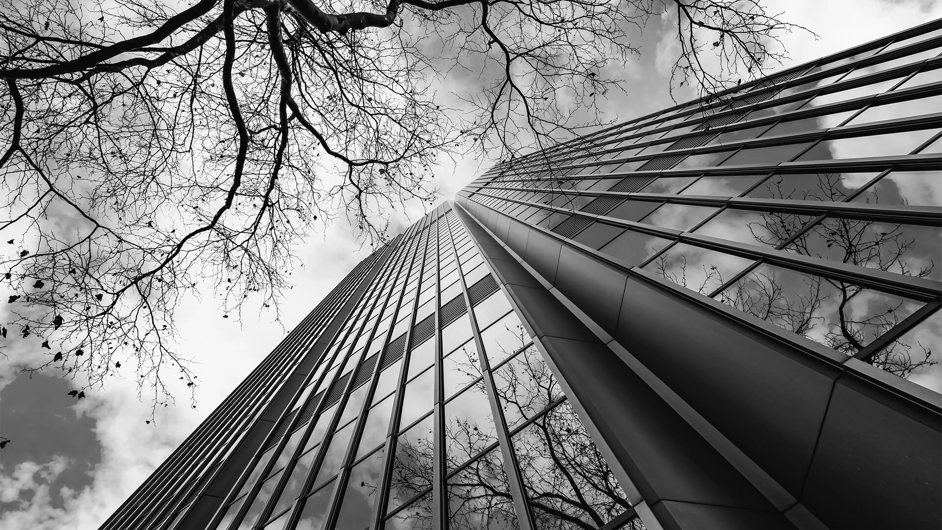 tenant-under-a-commercial-lease-dies Tenant Under A Commercial Lease Dies